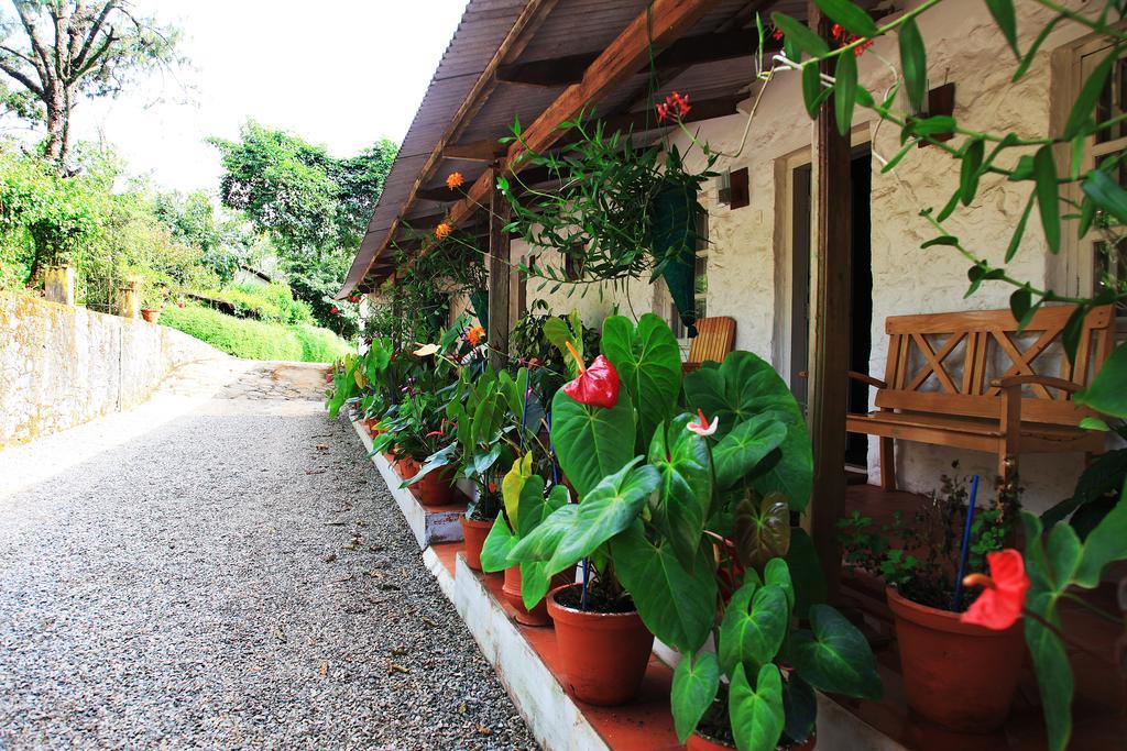 Thekkady Kalarickal Heritage Bungalow Vandanmedu Extérieur photo