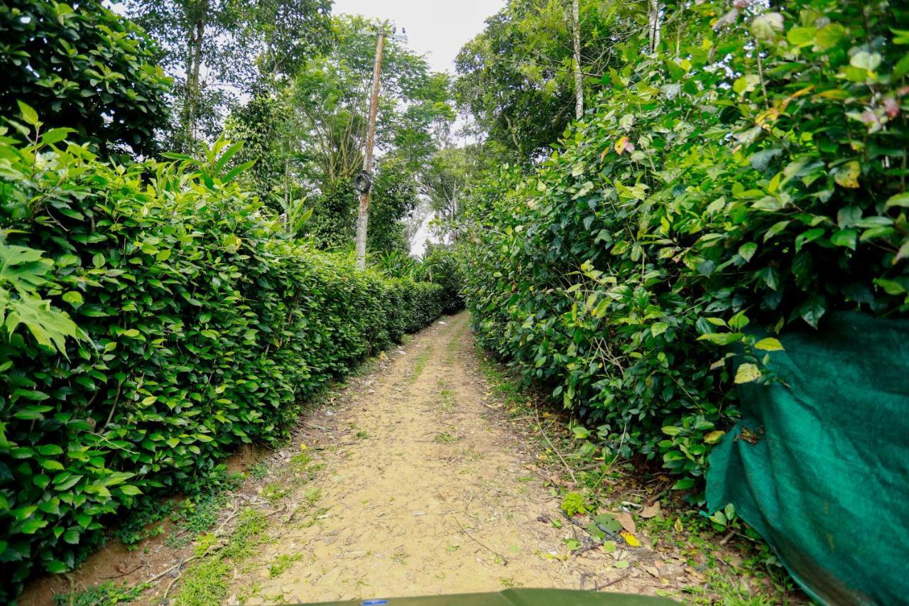 Thekkady Kalarickal Heritage Bungalow Vandanmedu Extérieur photo
